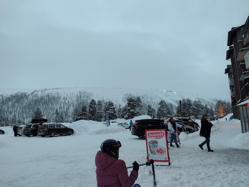 Tandådalen: Från liftpionjärer till framtidens fjällby