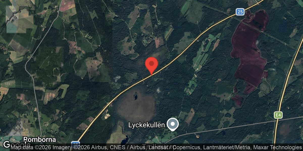 Rådjur på vägen vid Väg 25 mellan Romborna och Brånamosse