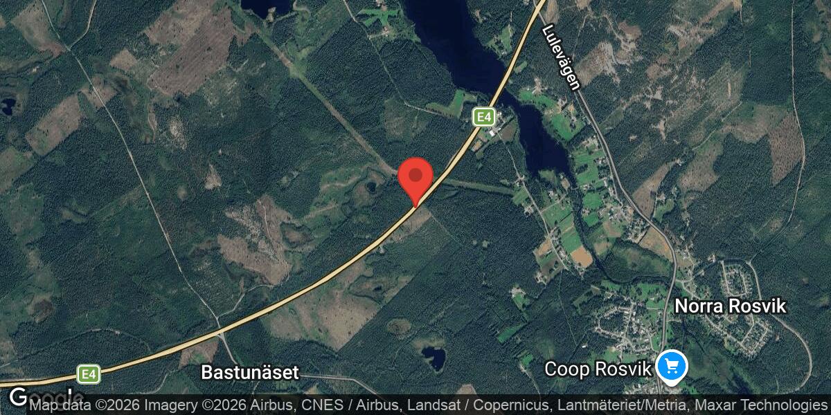 Djur på vägen vid Rosvik påverkar trafiken på E4