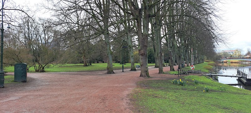 Våren spirar i Malmös parker och trädgårdar