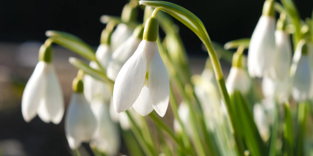 Trafikverket välkomnar extra pengar till järnväg, reservhamn och Gotlandstrafik