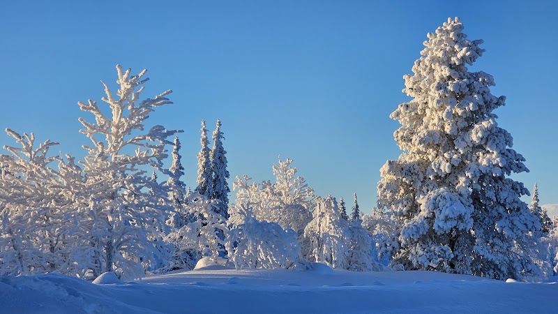 Tjautjas – byn vid sjön som vägrar tystna