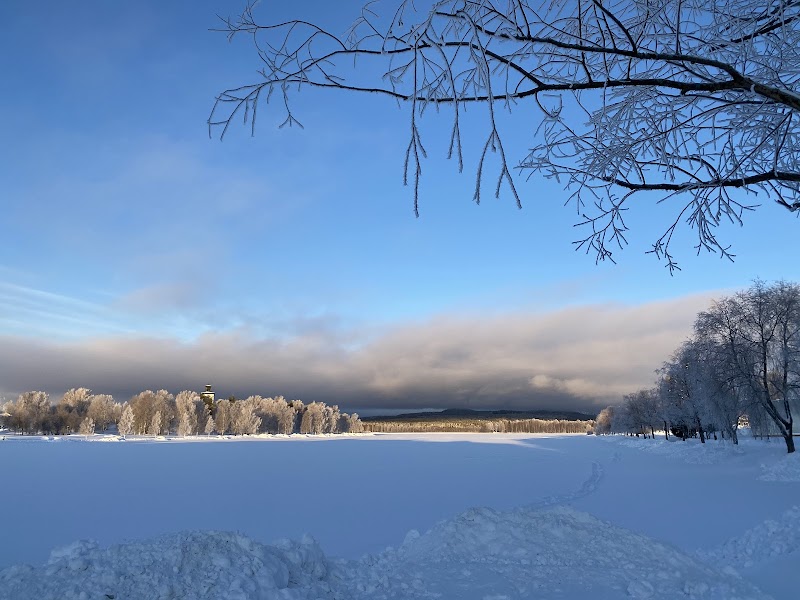 Svartbjörnsbyn: Björns – historien, bygemenskapen och framtidens utmaningar