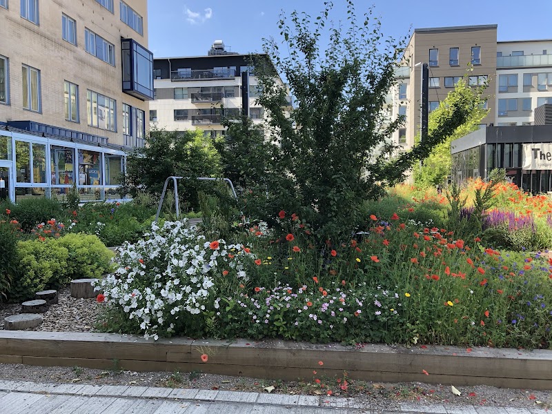 Brukarråd på Punkten i Täby stärker delaktighet och inflytande