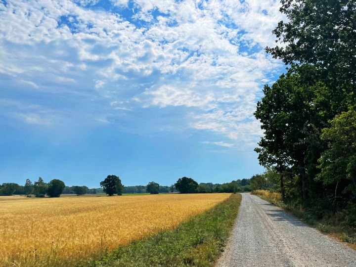 LRF och REV samlar 130 deltagare i Sunne för vägdag om enskilda vägar