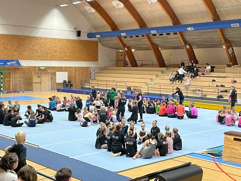 Avgörande kvalmatch mellan IBK Lund och Karlstad IBF