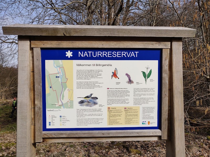 Rönne å i Eslöv: ådalen som vardagsrum, naturresurs och framtidsmotor