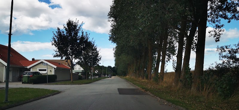 Lerberget – från fiskeläge till älskat kustsamhälle