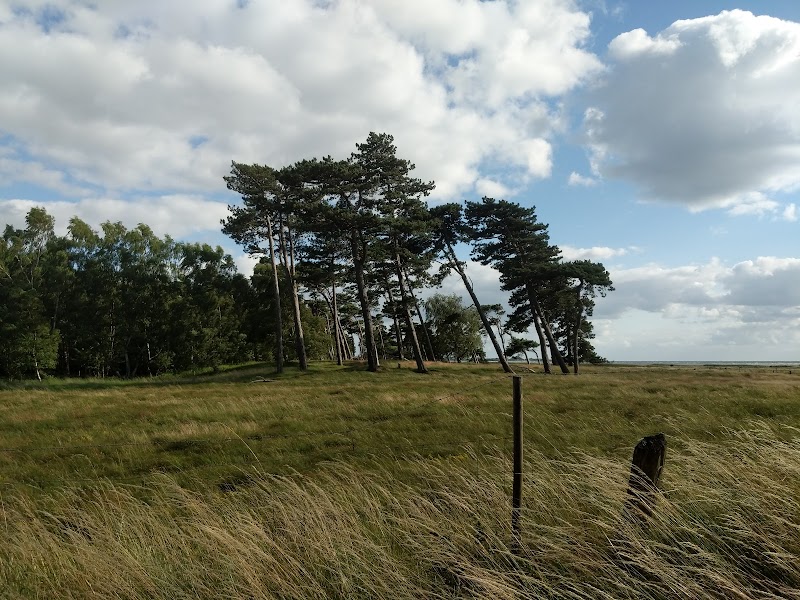 Kävlinges kust vid Öresund: Järavallen, Barsebäck och värdet av en öppen horisont