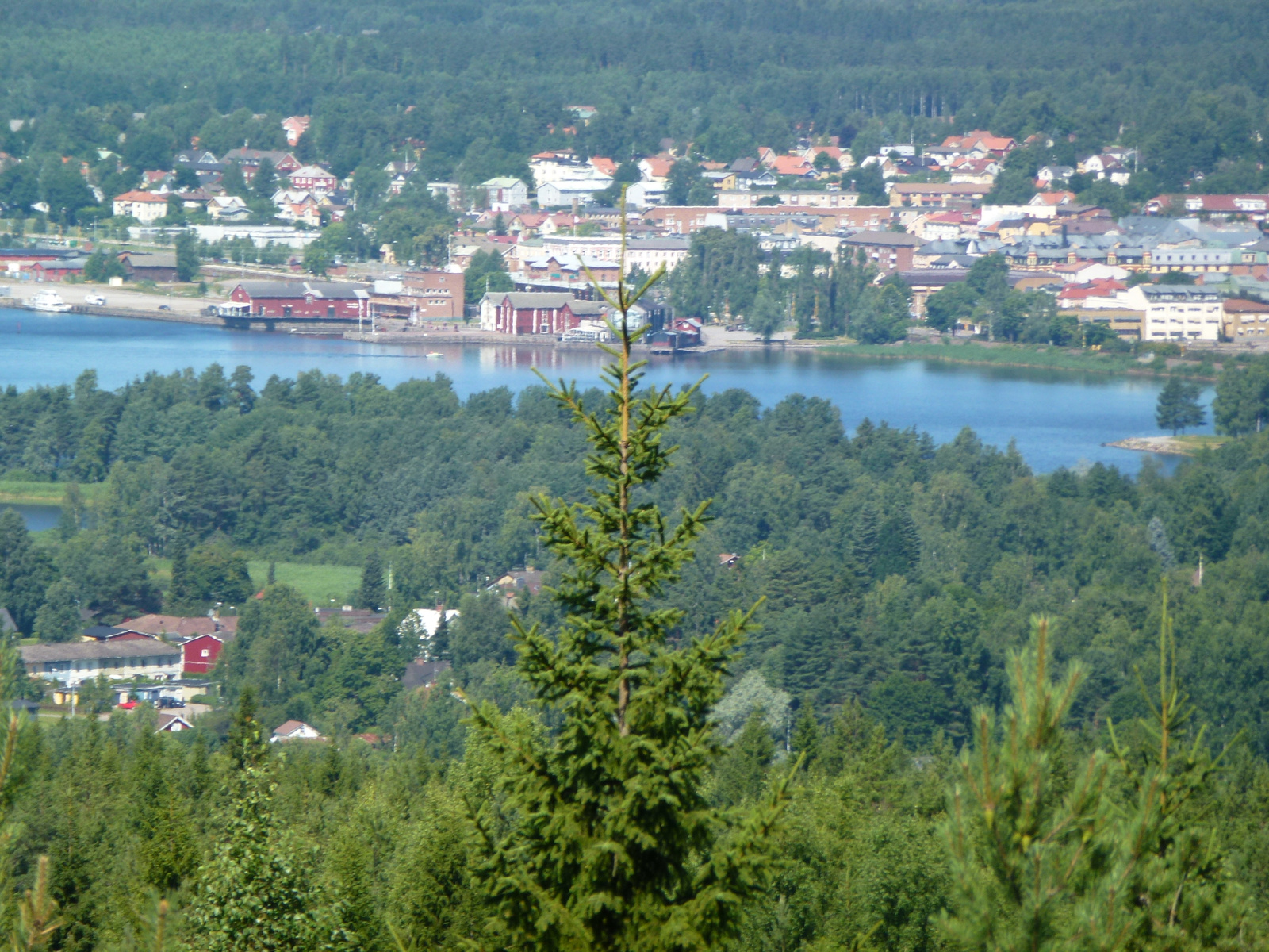 En översiktsbild av ett samhälle eller en stad som ligger vid en sjö eller större vattendrag. I förgrunden syns flera barrträd, och i bakgrunden breder bebyggelse ut sig längs vattnet med skogsklädda kullar runt omkring.
