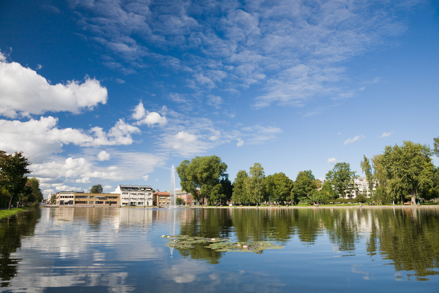 En bild tagen över vatten en solig dag, som visar en park, stadssilhuett och en fontän. Vattendaggen i förgrunden reflekterar himlen och omgivningen. En del näckrosor flyter på vattenytan, och det finns ett flertal träd och byggnader längs stranden u