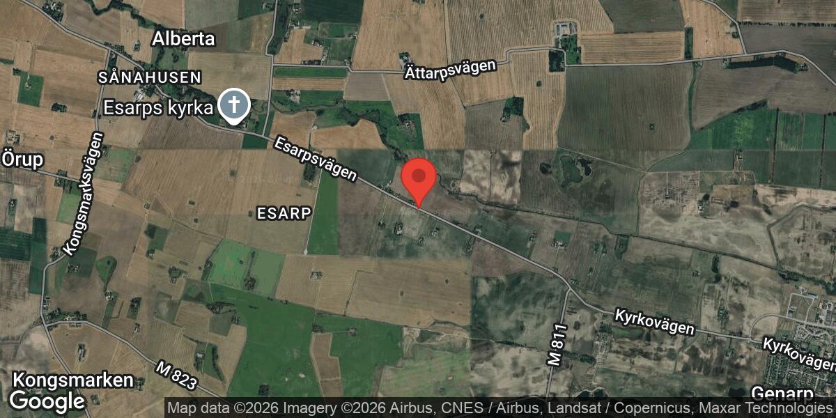 Nedfallet träd påverkar trafiken på Väg 798 vid Esarp