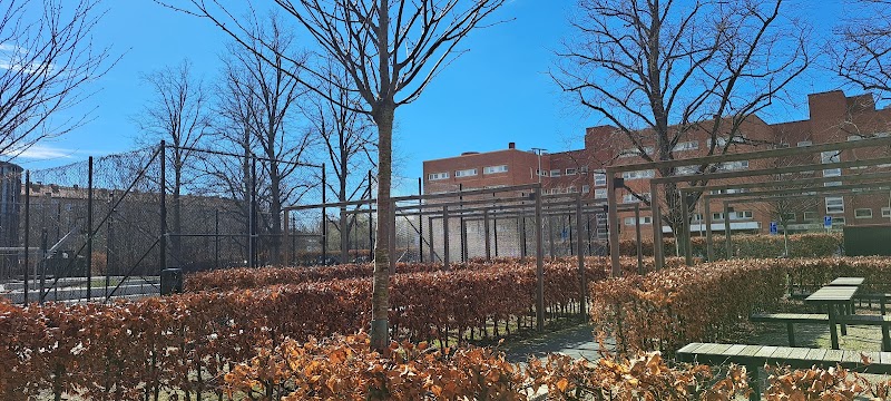 Stor EU-debatt för unga inför höstens val i Malmö