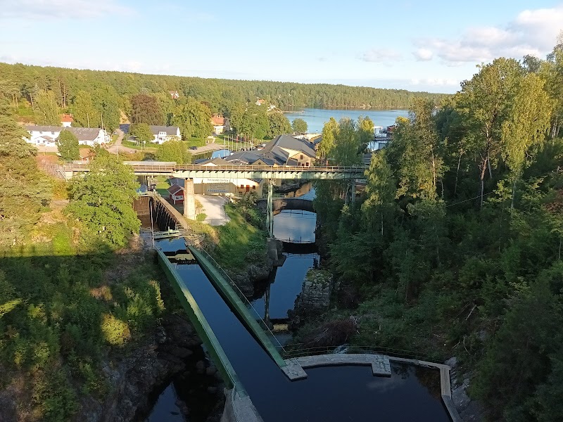 Naturvårdsinsats i Ramslökedalens naturreservat visar positiva resultat