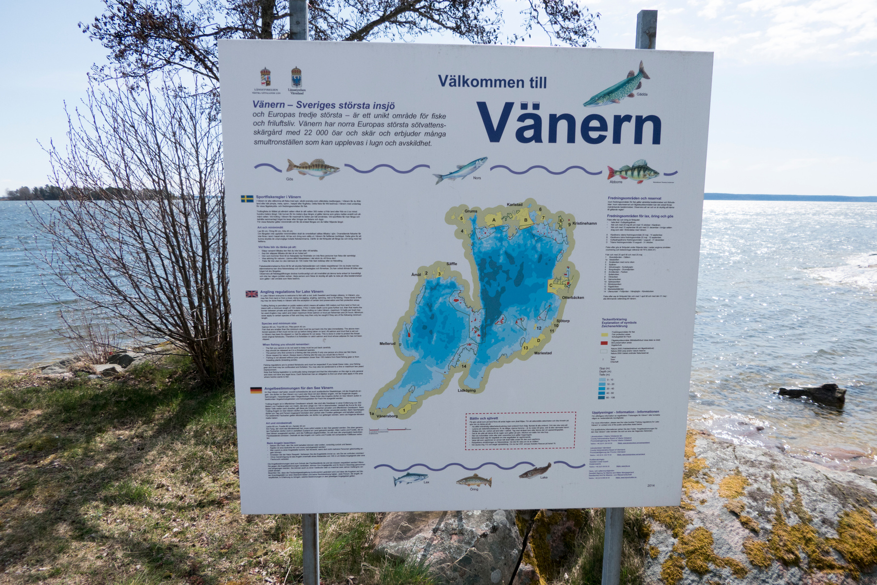 Spring och vinn en bil