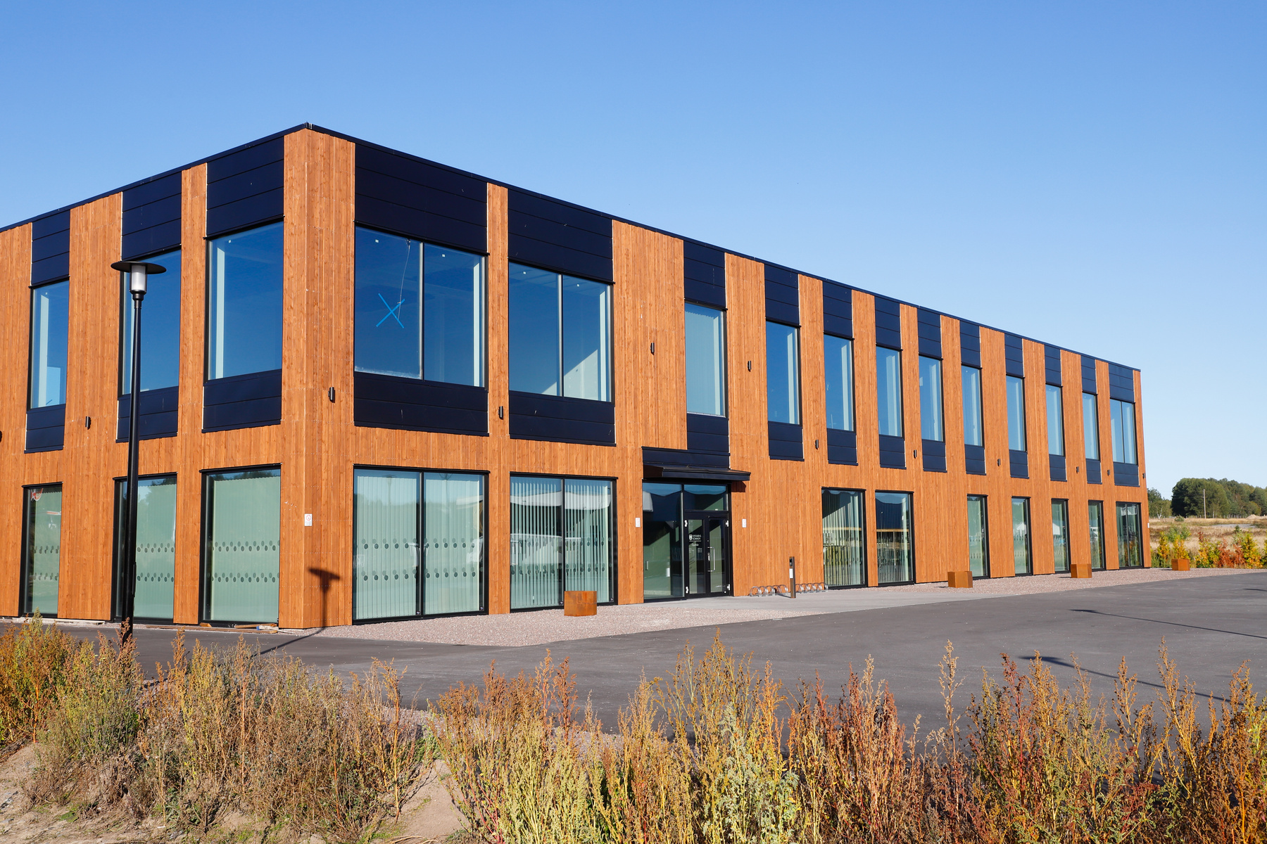 Världsbokdagen firas – tips för läsglädje och dagens händelser