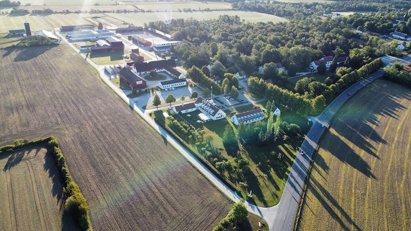 Gotlandspromenader – nya vandringsleder för hälsa och välbefinnande