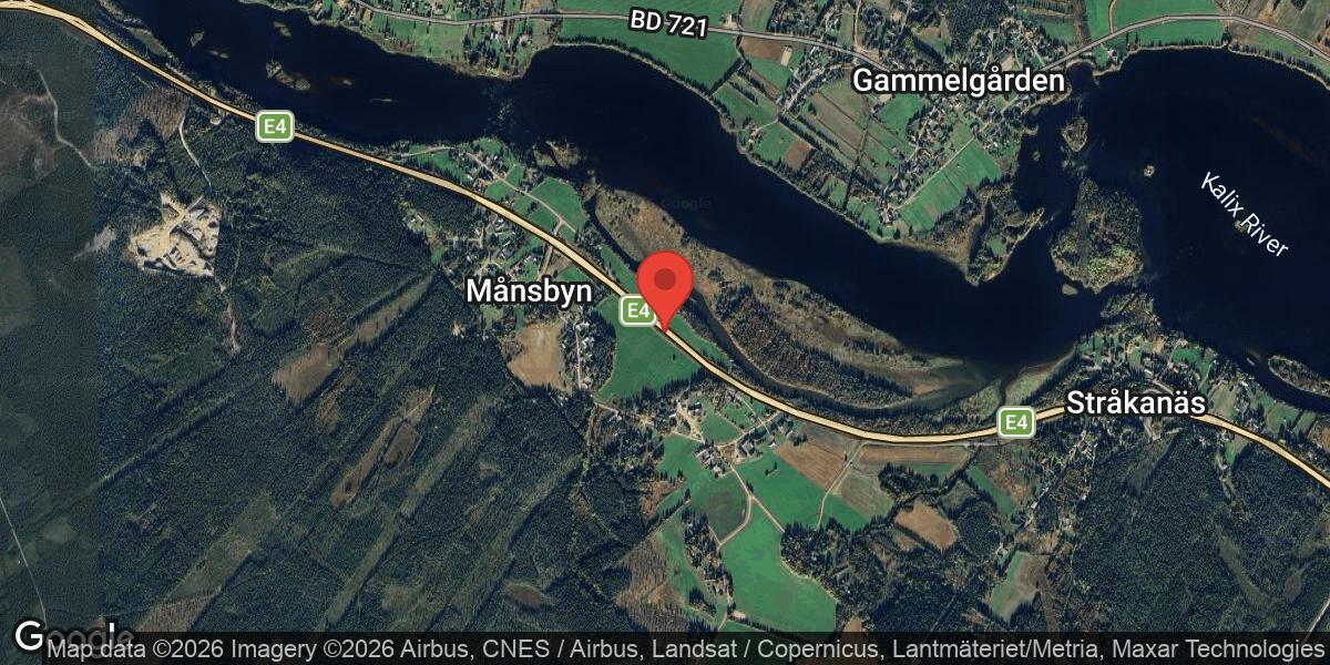 Renar på vägen längs E4 mellan Åkroken och Stråkanäs