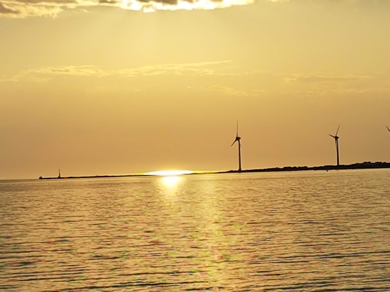 Falkenbergs hamn: stadens industriella hjärta och sommarens vattennära mötesplats