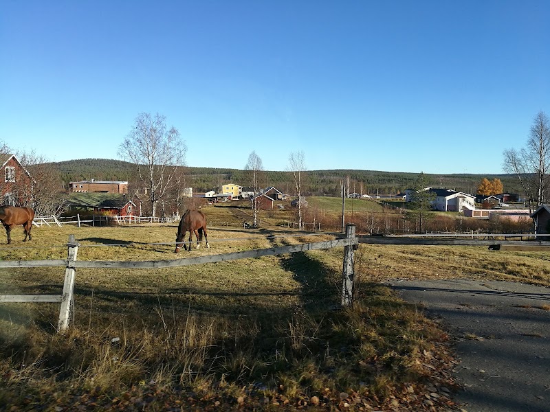 Korpilombolo – byn som blev kulturnav i midvintermörkret
