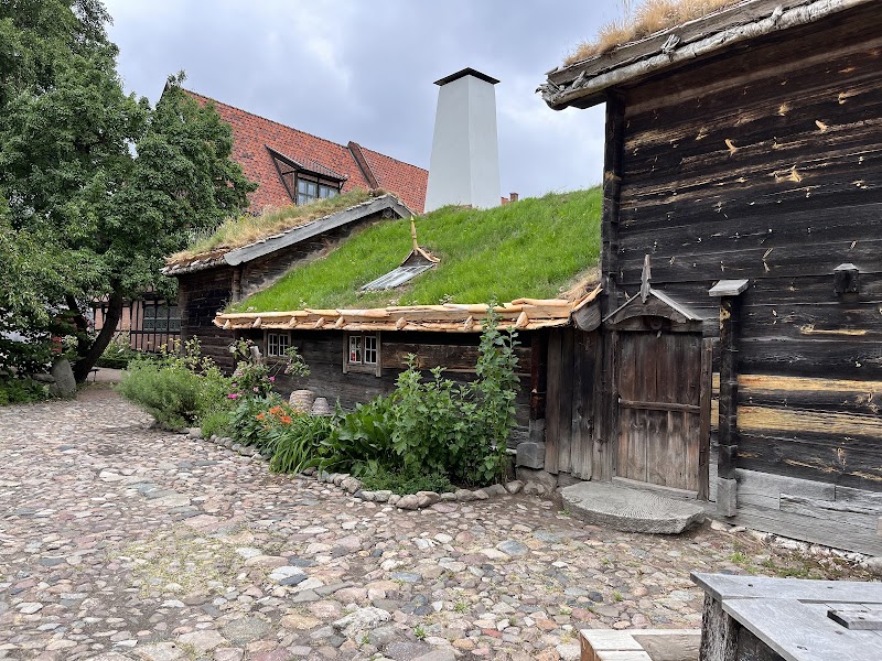 Metropolis – Lund och medeltiden: Guidad visning