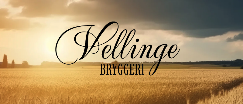 Vellinge Beer Run