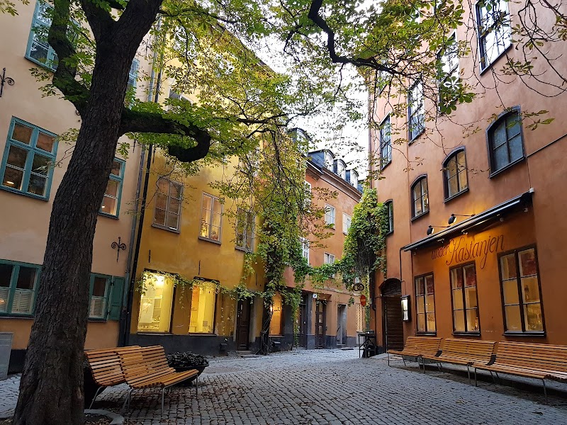 Ost och vinprovning på Västerås slott