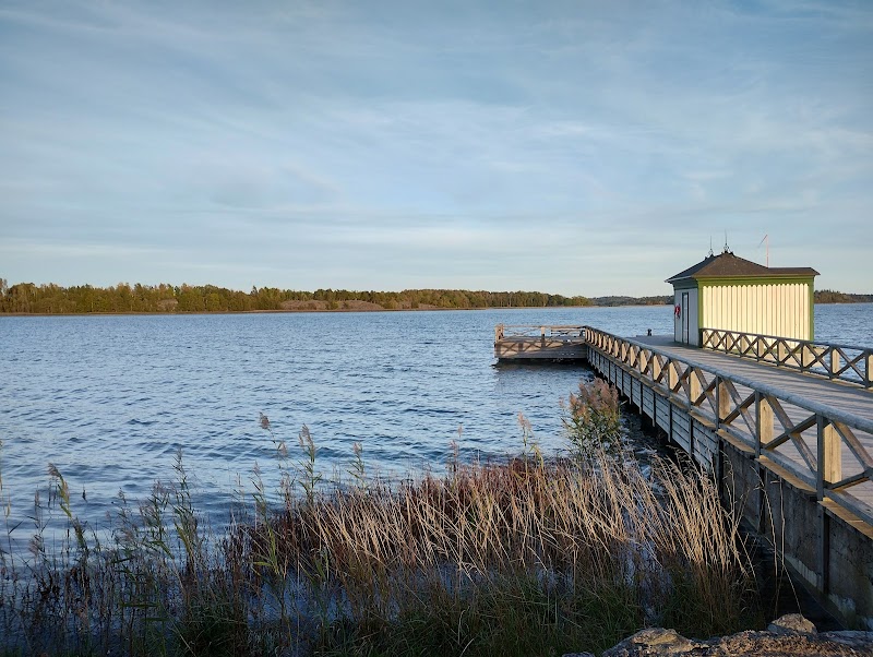 Fågelskådning i Tullgarn