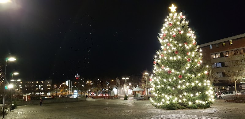 Våryra på Ronneby torg