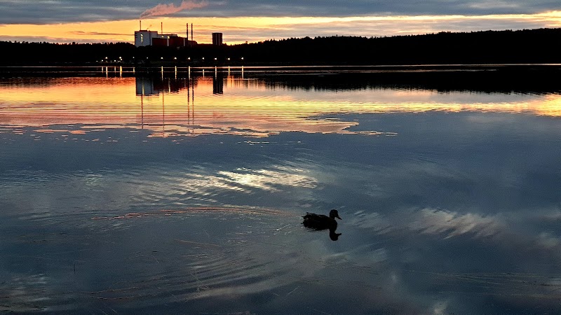Stort överskott i Bodens samhällsbyggnadsnämnd 2026