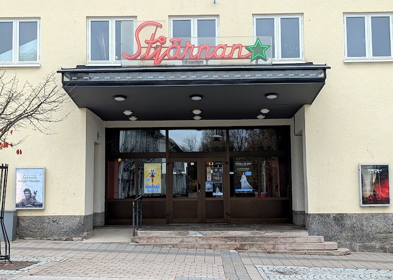 Fårdetektiverna – familjefilm på Biograf Stjärnan