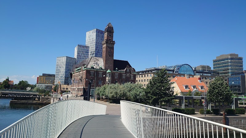 Revisorer rekommenderar ansvarsfrihet i Malmö stad