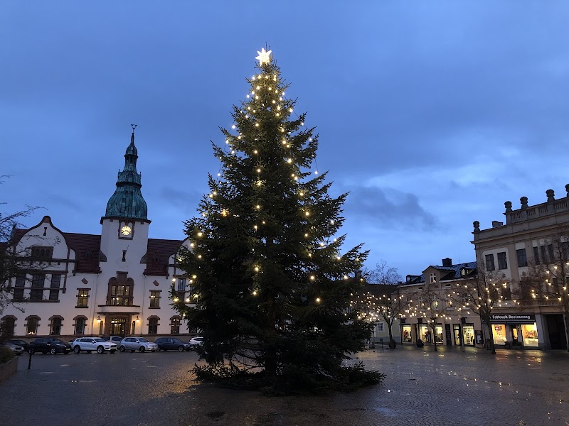 Victoria Tisaj Kumm är maj månads konstnär i Karlshamn