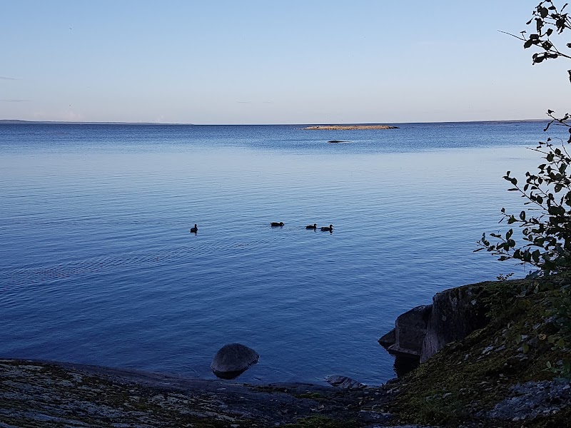 Musik- och kulturskolans vecka i Vänersborg
