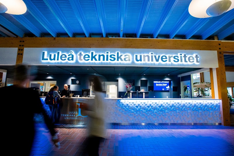 Grundkurs i AI för företagare