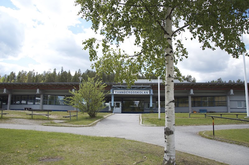 Lycksele vill satsa över 100 miljoner på Tannbergsskolan