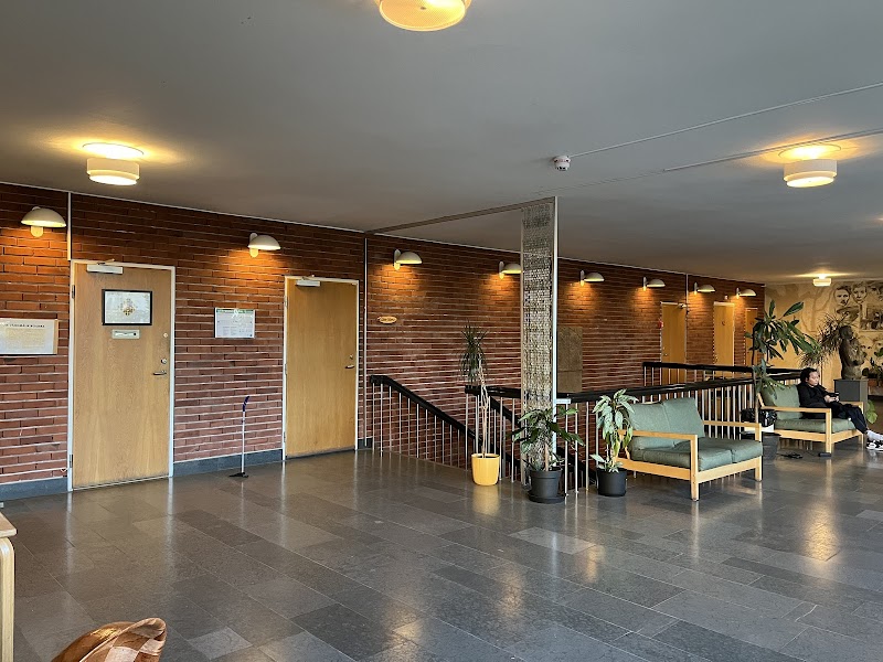 Rörelse och fysisk aktivitet – digital föreläsning