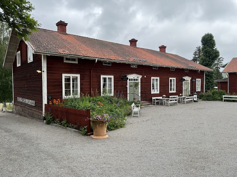 Att läsa markerna – skogsekologi för nyfikna