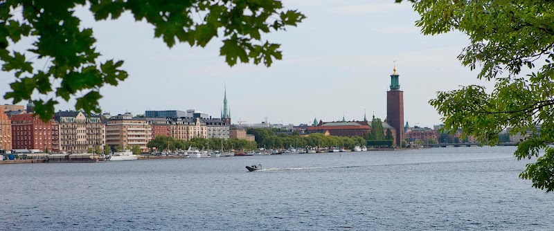 Revisorer kritiserar kontrollen av skolans ekonomi i Hultsfred