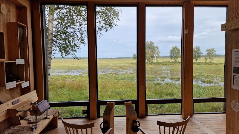 Föredrag utomhus om Edvard Wibeck