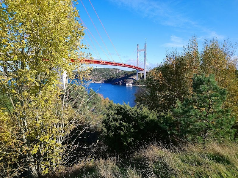 Tjörnbron: vår vardagsport, dess historia och varför den fortfarande formar kommunen