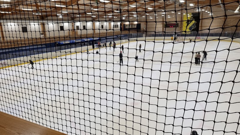 AIK Ishockey: Solnas svartgula hjärta från Ritorp till Hovet