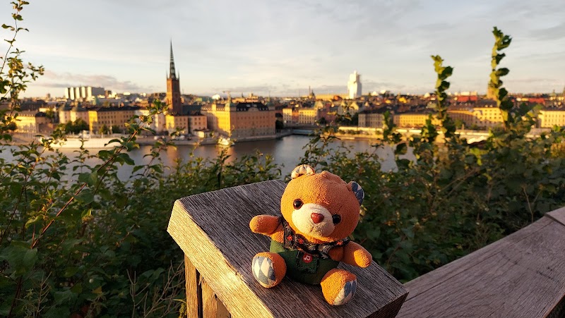 Solna öppnar för undantag i avfallshämtning