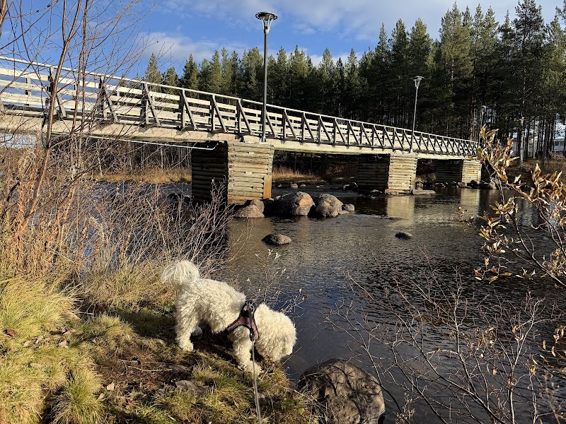 Flera trafikkontroller i Norrbotten – anmälan och ordningsböter utdelade