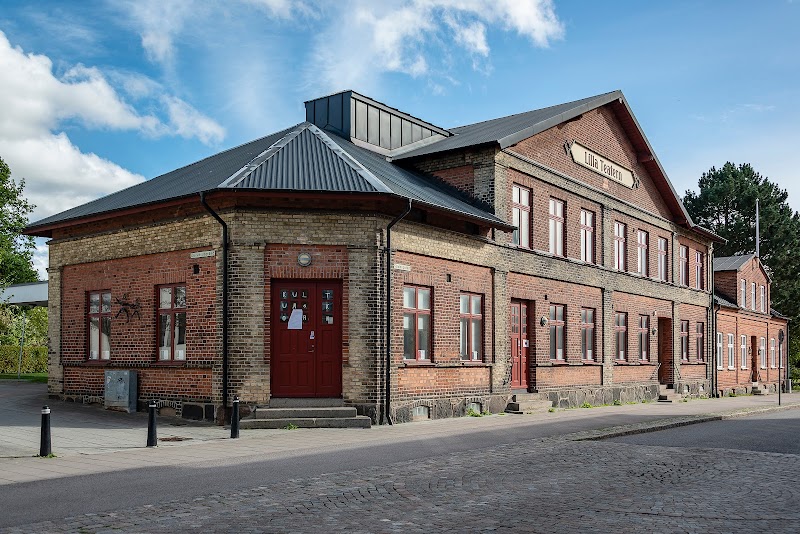 Elevkonsert med qanun på Kulturskolan