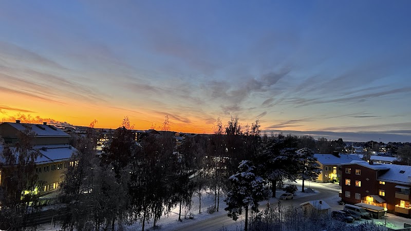 Motion – bra för hjärna och hjärta