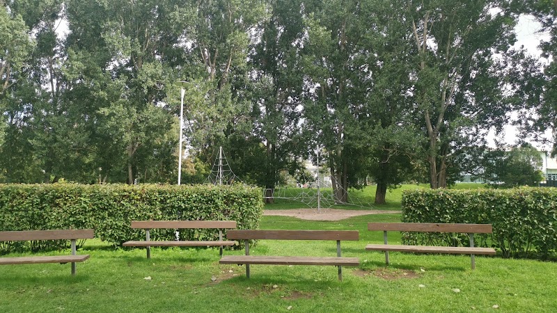 Fira nationaldagen med familjefest i Sandvikens Stadspark