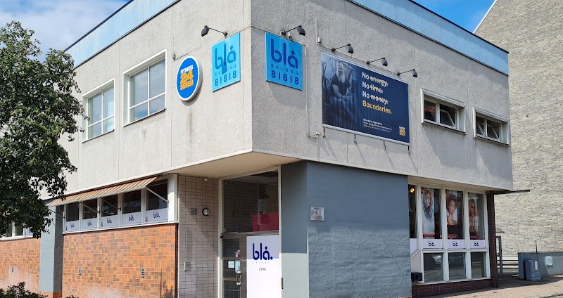 Demokratin dör i hettan – föreläsning med Erika Bjerström