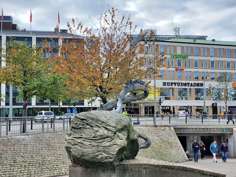 Neri Samuelsson tar över som direktör för funktionsstöd i Göteborg