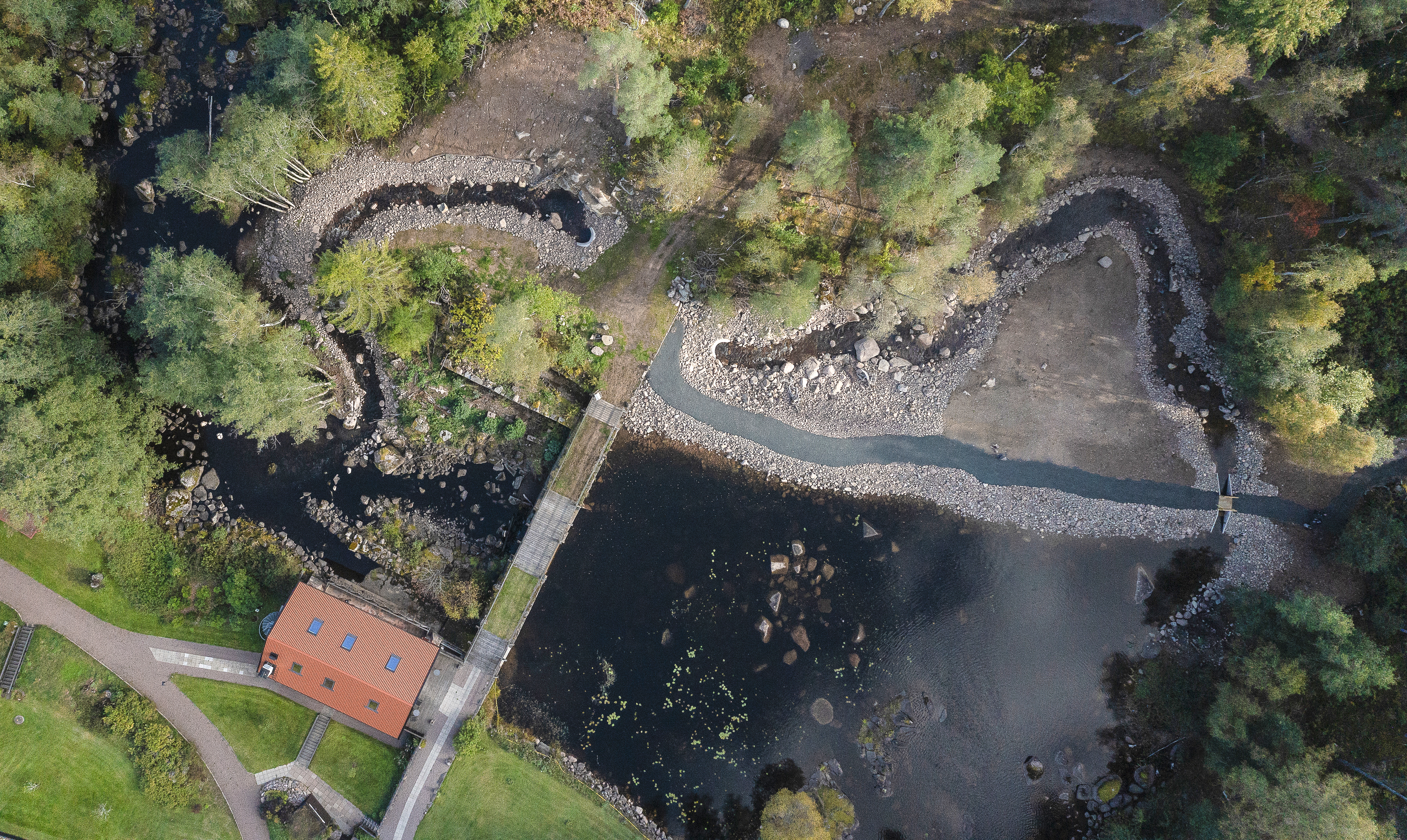 Tranås Energi inviger 2,5 mil lång vattenväg – ska ge fri fiskvandring för första gången på 100 år